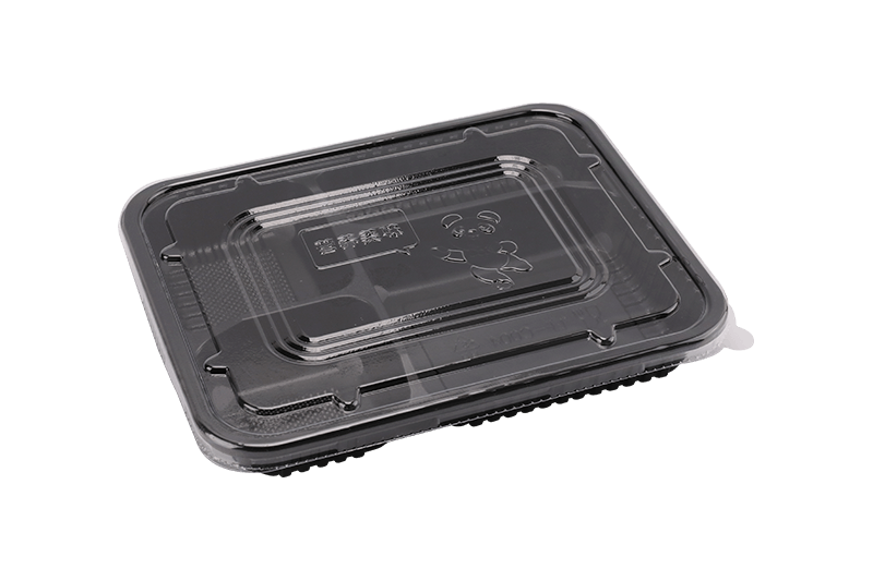 Eco-amica Plastic Quattuor Grid Prandium Box