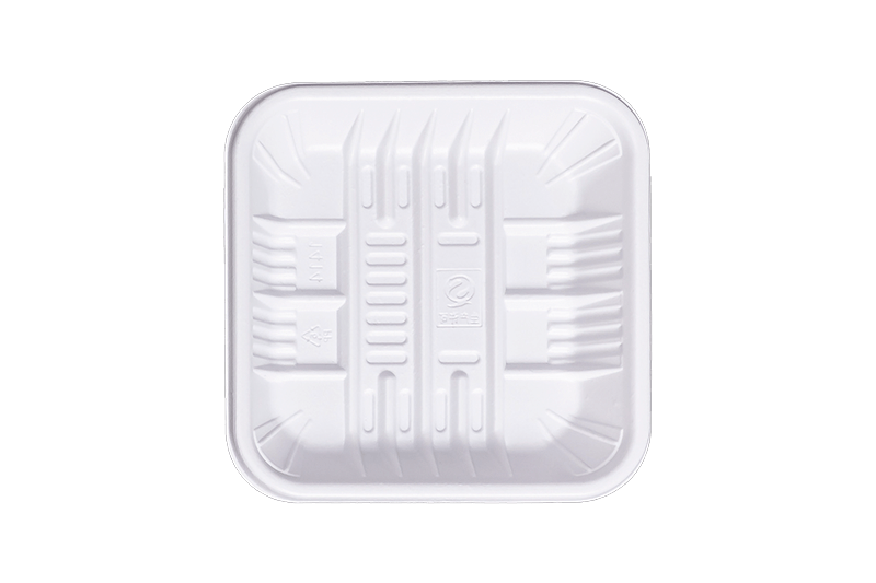 Biodegradable Rectangulum Recent Food Tray