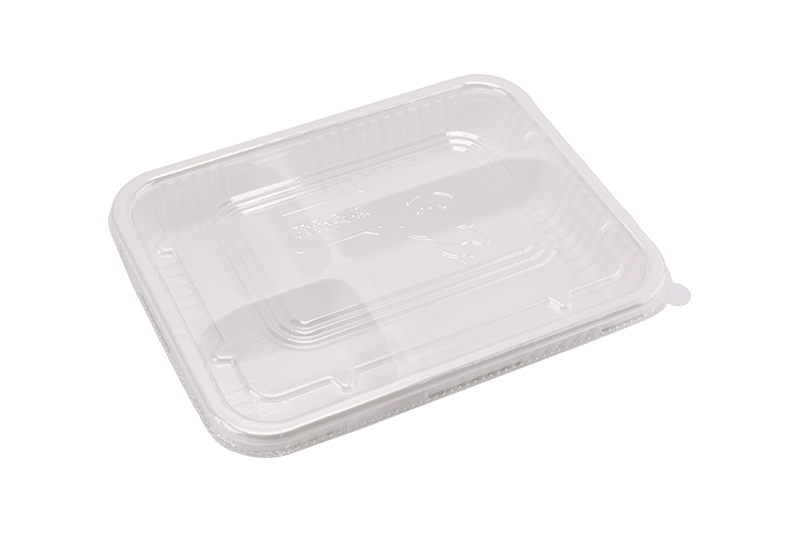 Eco-amica Plastic Quattuor Grid Prandium Box