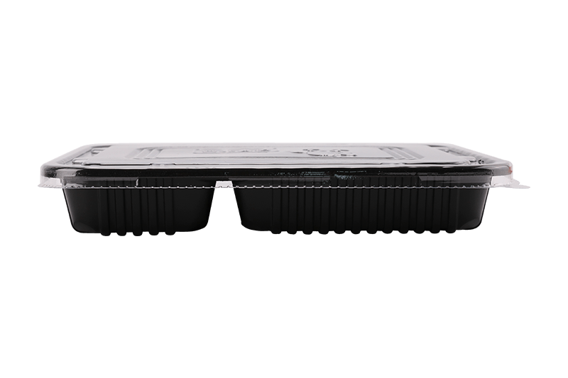 Eco-amica Plastic Quattuor Grid Prandium Box