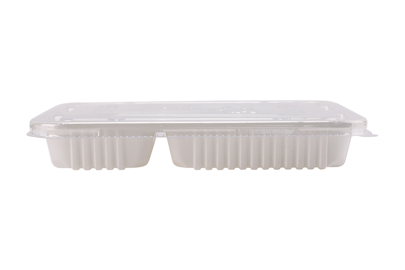 Eco-amica Plastic Quattuor Grid Prandium Box